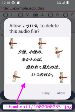 許可・拒否ダイアログ（audio）