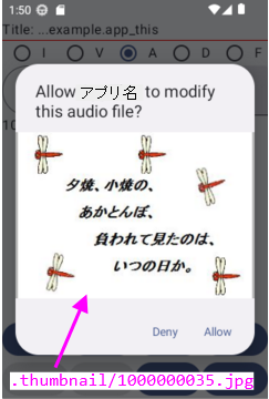 許可・拒否ダイアログ（audio）
